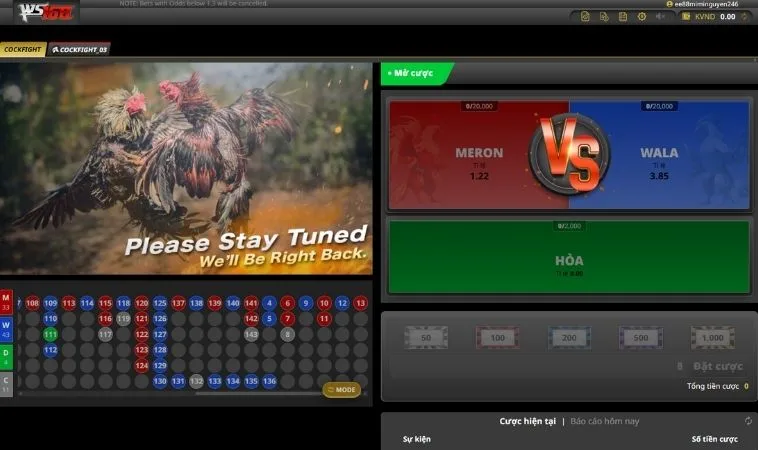 Giao diện cá cược Đá Gà WS168 Tại 188Bet